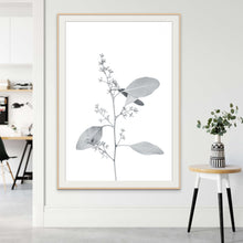 Lade das Bild in den Galerie-Viewer, Botanical Study 13

