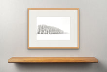 Lade das Bild in den Galerie-Viewer, Row of Trees in Winter 3, Thuringia, Germany

