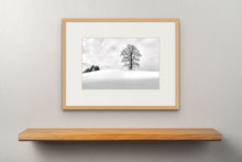 Load image into Gallery viewer, Lone Tree in Winter 1, Bavaria, Germany
