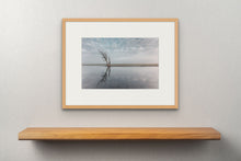 Load image into Gallery viewer, Lone Tree in Havelland, Brandenburg, Germany
