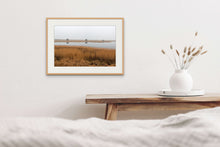 Lade das Bild in den Galerie-Viewer, Foggy Morning in the Reeds Belt at Darss Peninsula, Baltic Sea, Germany
