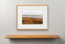 Lade das Bild in den Galerie-Viewer, Foggy Morning in the Reeds Belt at Darss Peninsula, Baltic Sea, Germany
