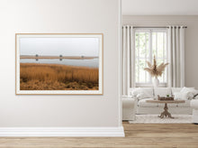 Lade das Bild in den Galerie-Viewer, Foggy Morning in the Reeds Belt at Darss Peninsula, Baltic Sea, Germany
