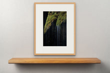 Lade das Bild in den Galerie-Viewer, Mossy Waterfall, Bavaria, Germany
